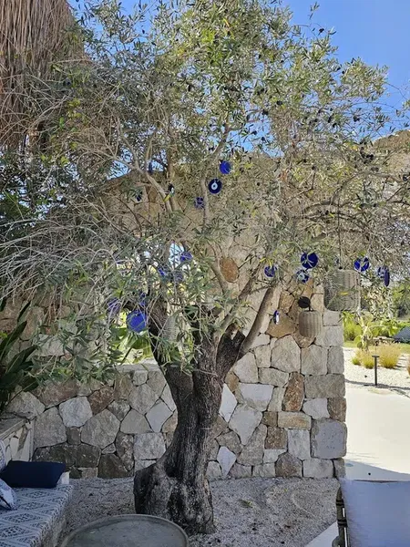 Yamas Greek Restaurant - Photo 5