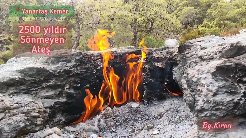 Yanartaş Günübirlik Alanı - Photo 2