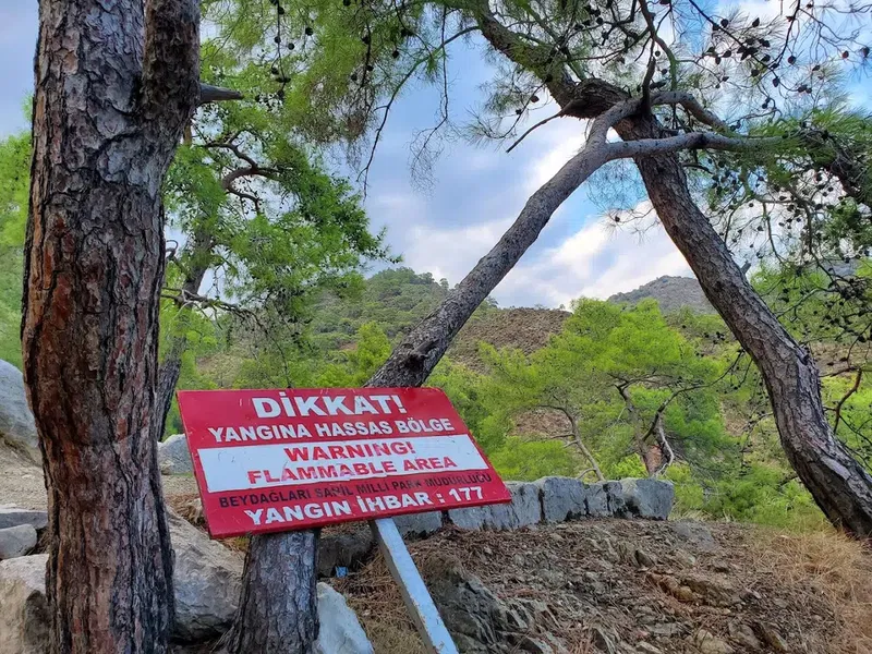 Yanartaş Günübirlik Alanı - Photo 10