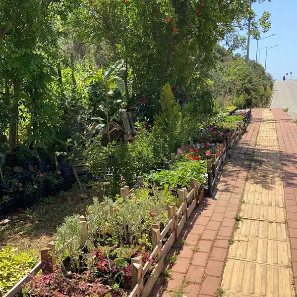 Yarımada Çiçekçilik - Photo 9