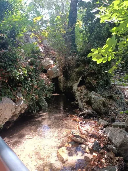 Yavuz Alabalık Restaurant - Photo 1