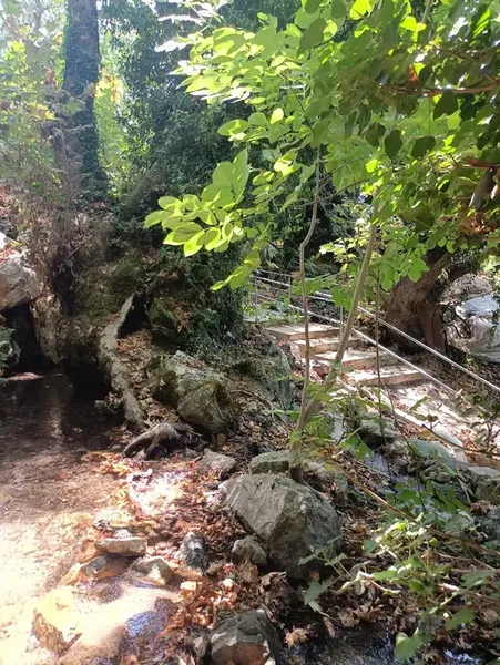 Yavuz Alabalık Restaurant - Photo 5