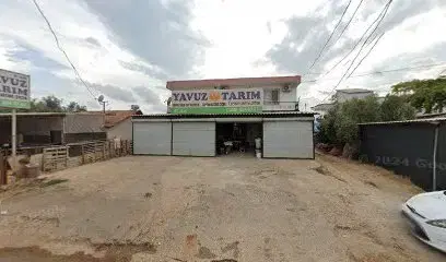 Yavuz Tarim