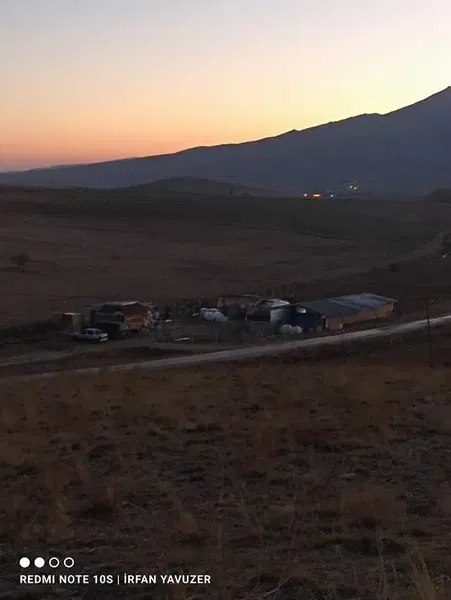 Yavuzer Besi̇ Çi̇ftli̇ği̇ - Photo 2