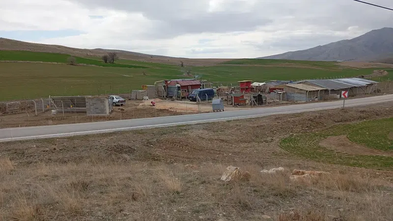 Yavuzer Besi̇ Çi̇ftli̇ği̇ - Photo 3