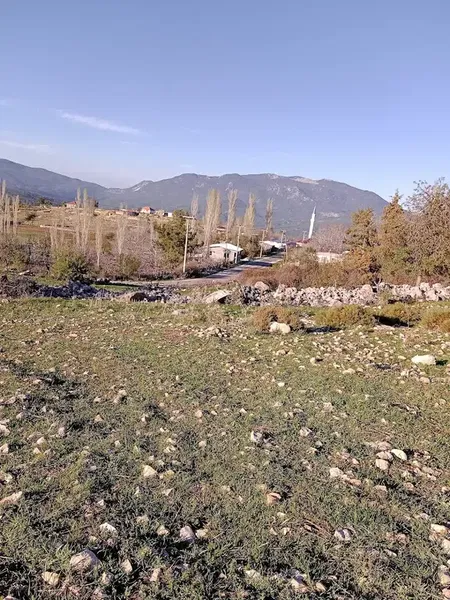 Yayla Çavdır Çamdibi Camii - Photo 2