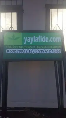 Yaylafide