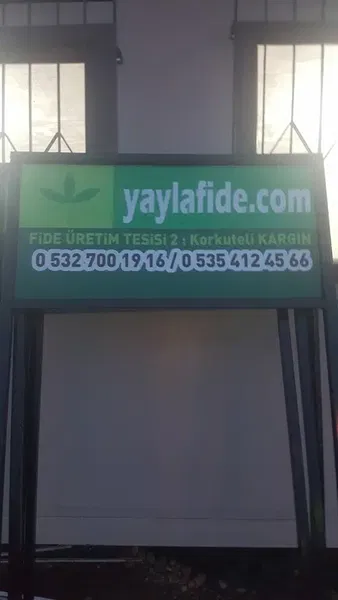 Yaylafide - Photo 1