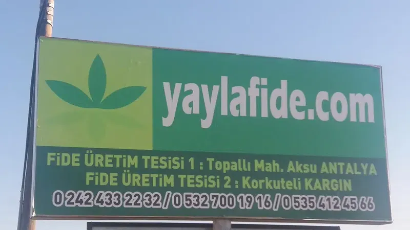 Yaylafide - Photo 10