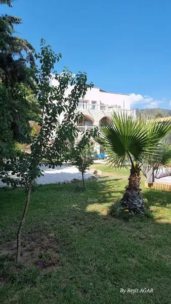 Yazarın Evi /The Writer's House - Photo 10