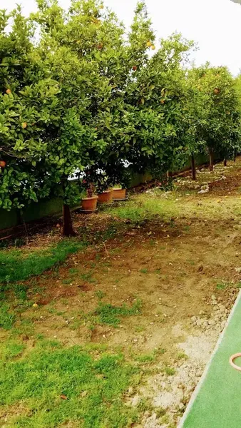 Yağmur Kreş ve Gündüz Bakımevi - Photo 6