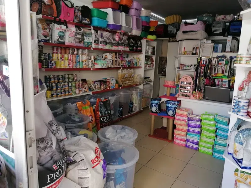 Yaǧmur Pet Shop - Photo 2