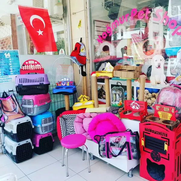 Yaǧmur Pet Shop - Photo 5