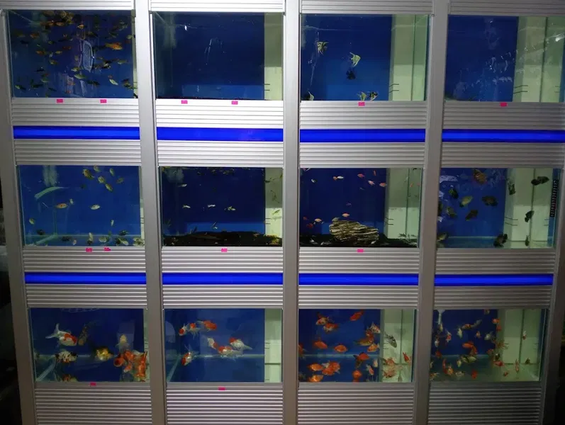 Yemci petshop - Photo 3