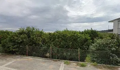Yeşi̇l Elmas Fi̇dancilik