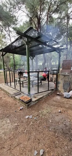 Child park - Photo 4