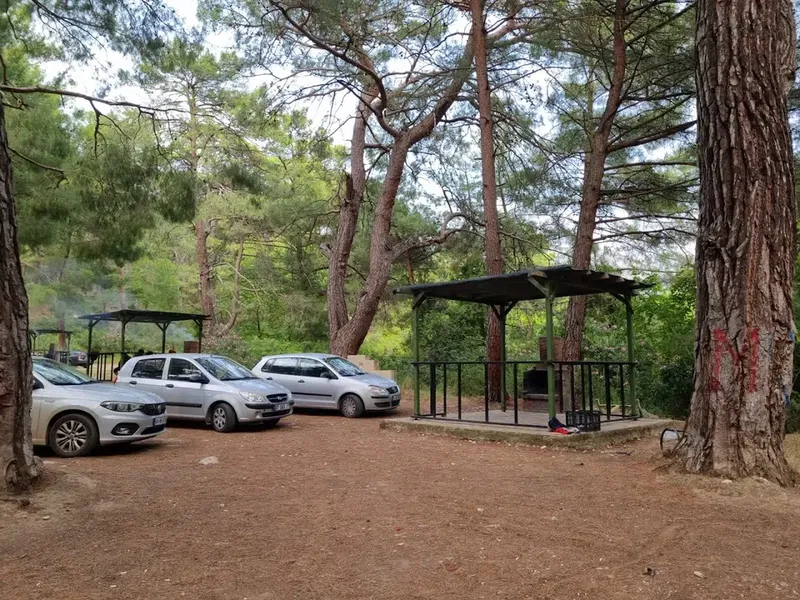 Child park - Photo 5