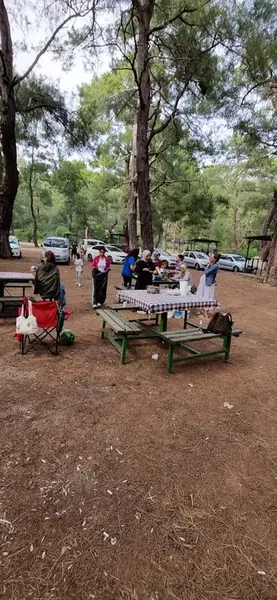 Child park - Photo 9