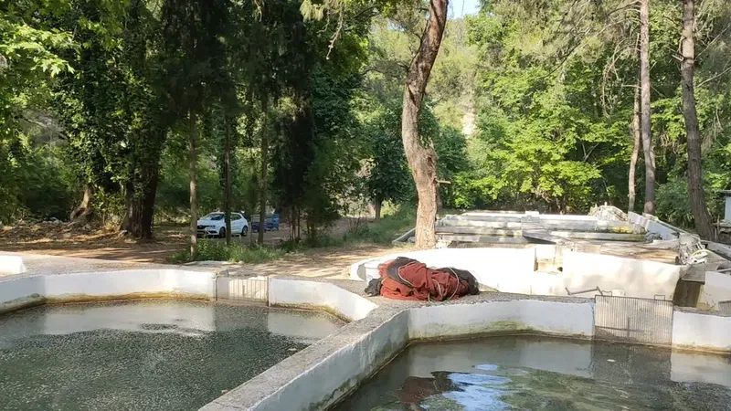 Yeşilvadi Alabalık Çiftliği ve Piknik Alanı - Photo 3