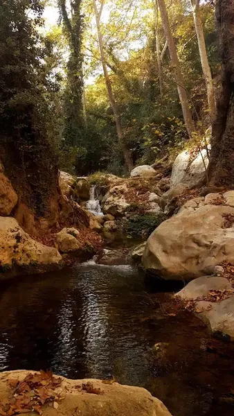 Yeşilvadi Alabalık Çiftliği ve Piknik Alanı - Photo 4