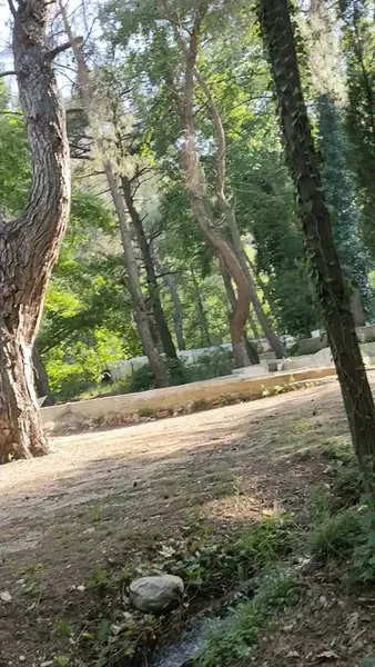 Yeşilvadi Alabalık Çiftliği ve Piknik Alanı - Photo 8