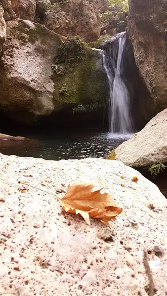 Yeşilvadi Alabalık Çiftliği ve Piknik Alanı - Photo 9