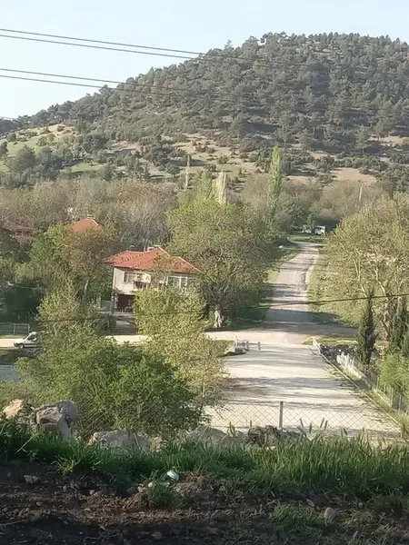 Yeşilyayla Göleti - Photo 5