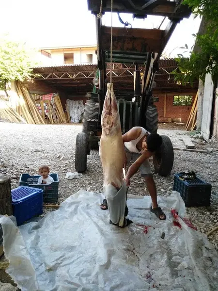 Yeşilyurt Halı Saha - Photo 3