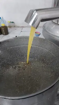Yine Gel Zeytinyağı Fabrikası