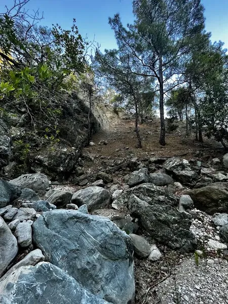 Yok - Photo 5