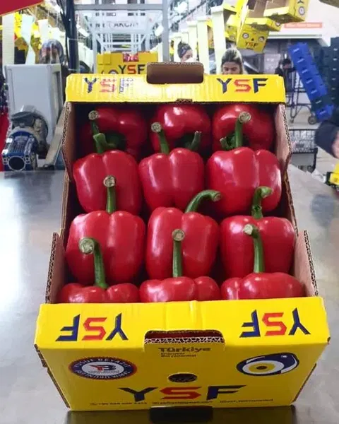 Ysf Fruit - Photo 3
