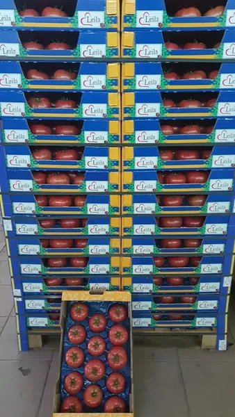 Ysf Fruit - Photo 6