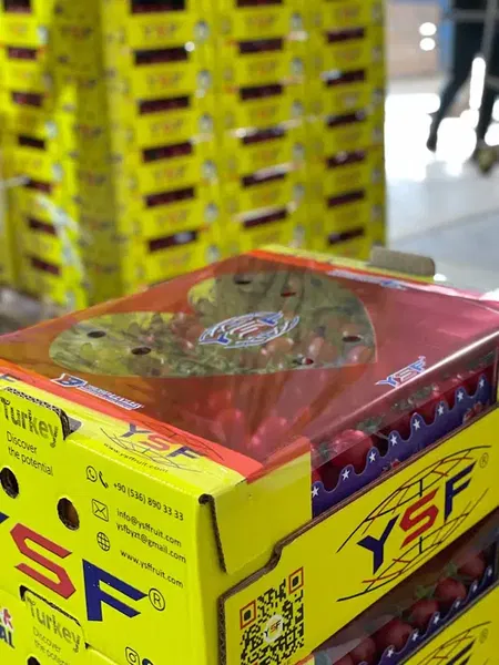 Ysf Fruit - Photo 7