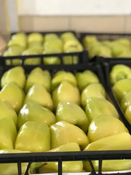 Ysf Fruit - Photo 8