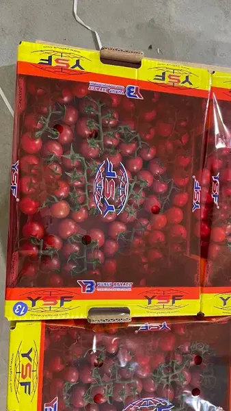 Ysf Fruit - Photo 10