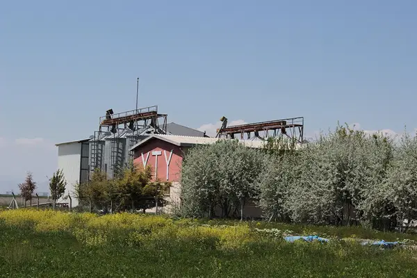 Yty Tavukçuluk