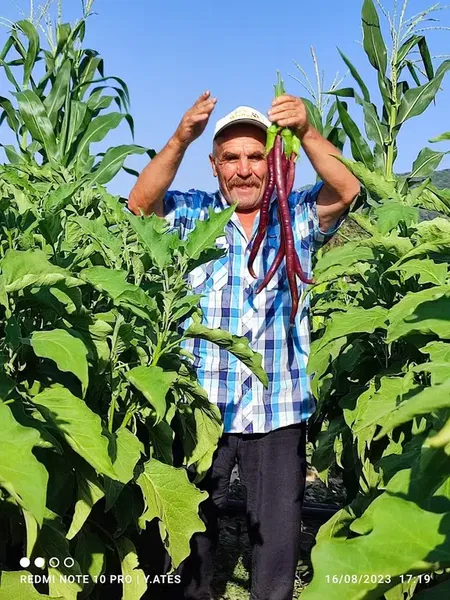 Yunus'un Hobi Bahçesi - Photo 7