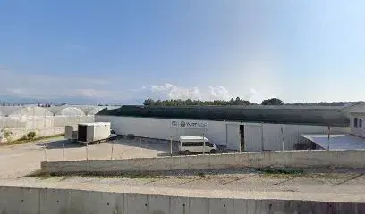 Yurt fide Ltd Şti