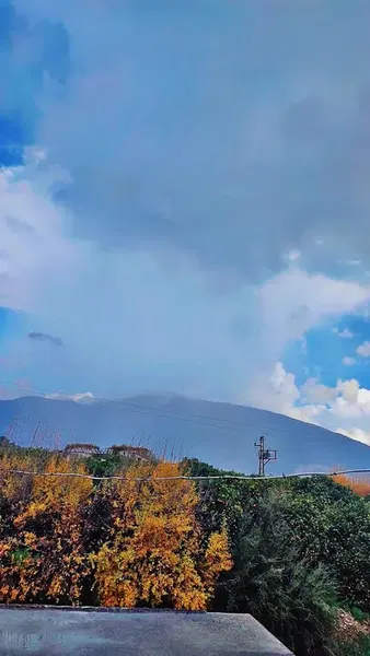 Yurtiçi Kargo Finike - Photo 2
