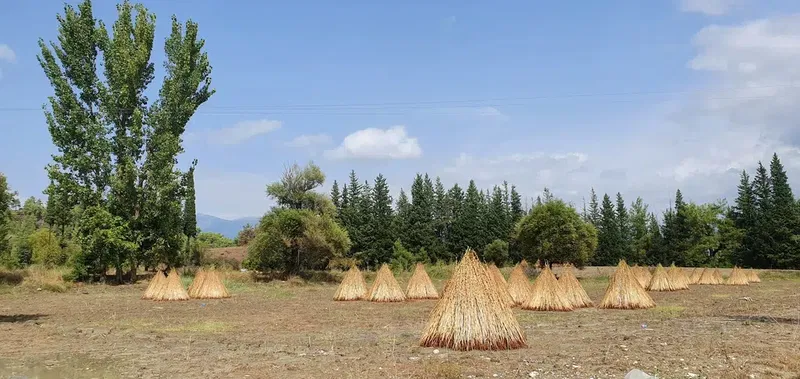 Yusuf Polat Hatıra Ormanı - Photo 1