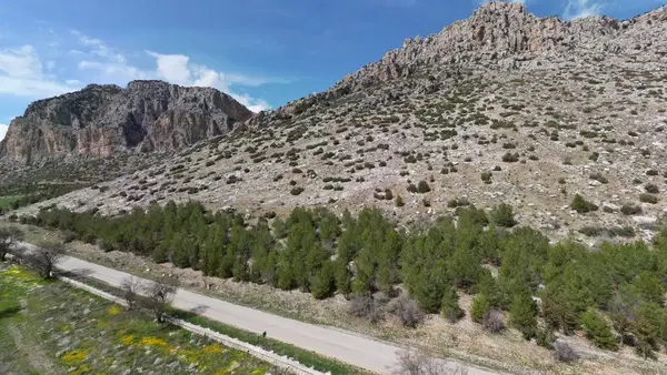 Yuva köyü mezarlığı