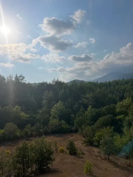 Yörük çadırı - Photo 10