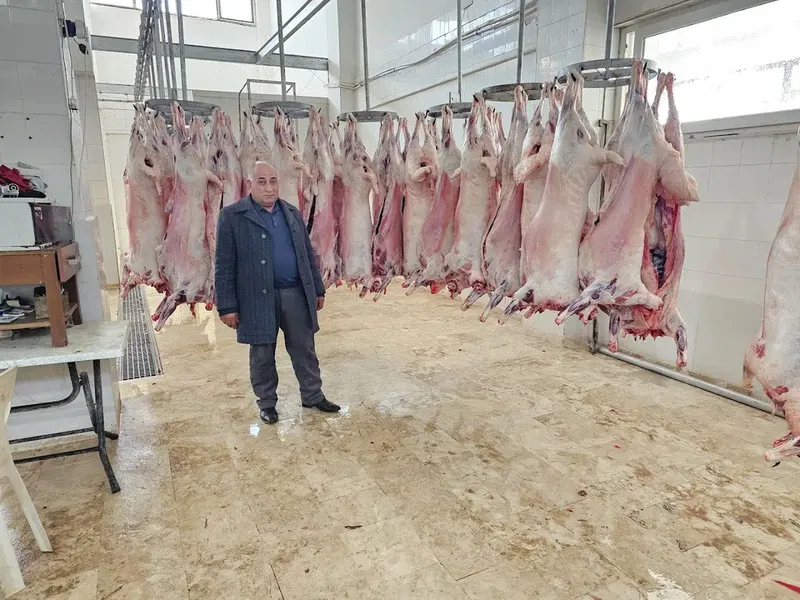 Yıldız besi çiftliği - Photo 6