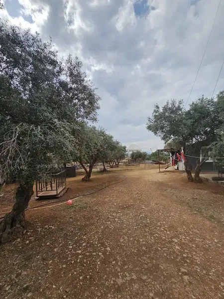 Yıldız besi çiftliği - Photo 8