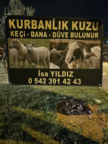 Yıldız besi çiftliği - Photo 9