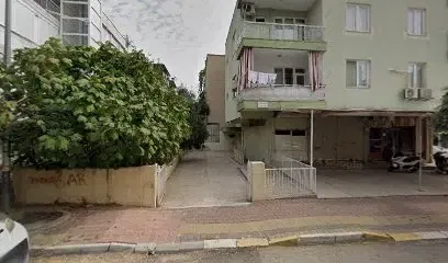 Zafer mobilya koltuk - Photo 1