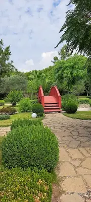 Zen Gardens
