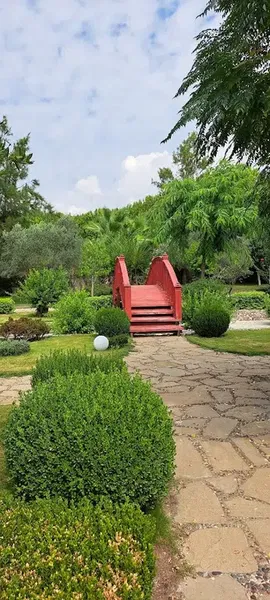 Zen Gardens - Photo 1