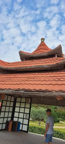Zen Gardens - Photo 4
