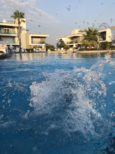 Zen Residance - Photo 3